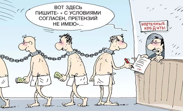 Фото из интернета