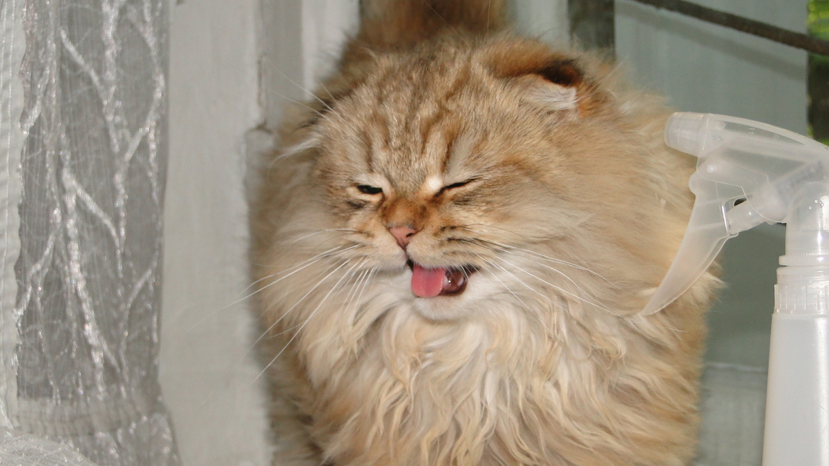 Фото из личного архива