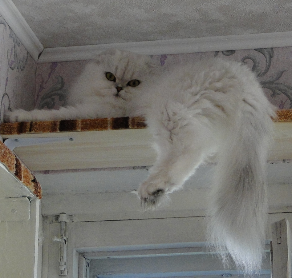 Фото из личного архива