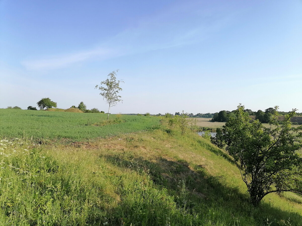 Сам мыс. Вдали слева остатки вала и рва пересекающие мыс в сужении. Укрепление уже многократно копано перекопано с 19 века и искажено множеством ям от незакрытых обрушенных шурфов.