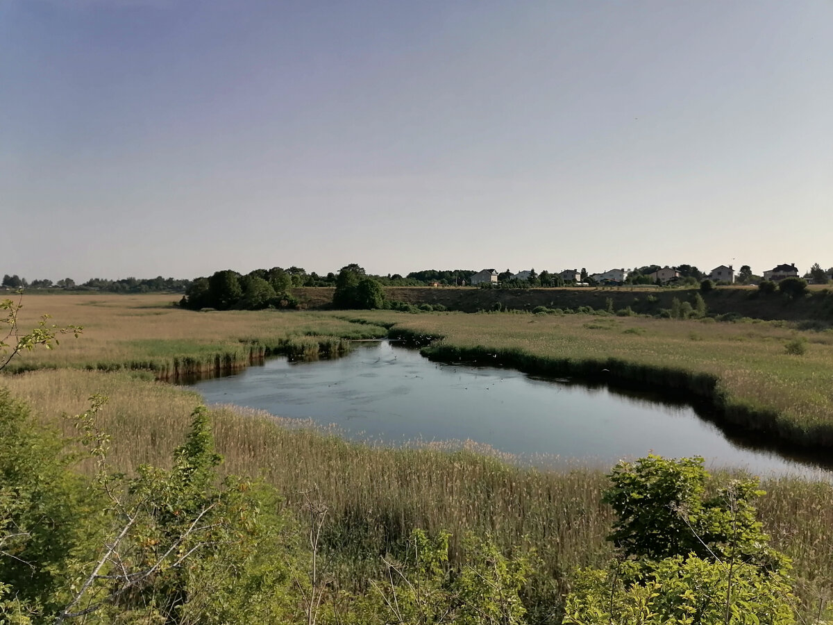 Водья- оставшееся зеркало чистой воды среди болота.