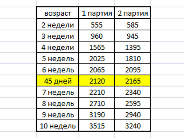 Температурный режим для бройлеров кобб 500 таблица. Схема кормления бройлеров Кобб 500. Схема кормления Кобб 500. Таблица кормления бройлеров Кобб 500 комбикормами по дням.