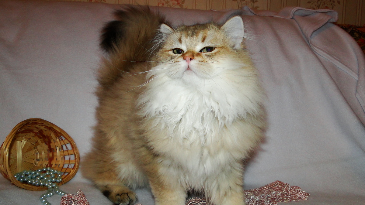 Фото из личного архива