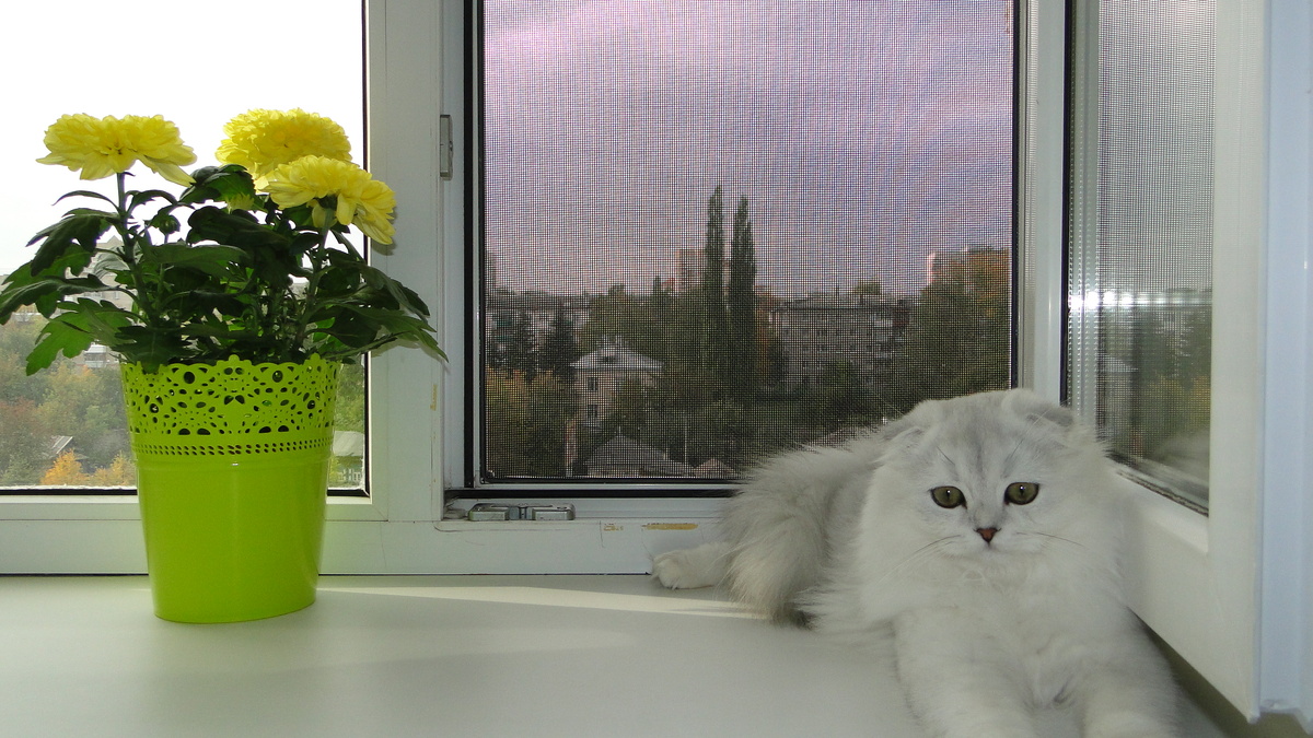 ФОТО ИЗ ЛИЧНОГО АРХИВА