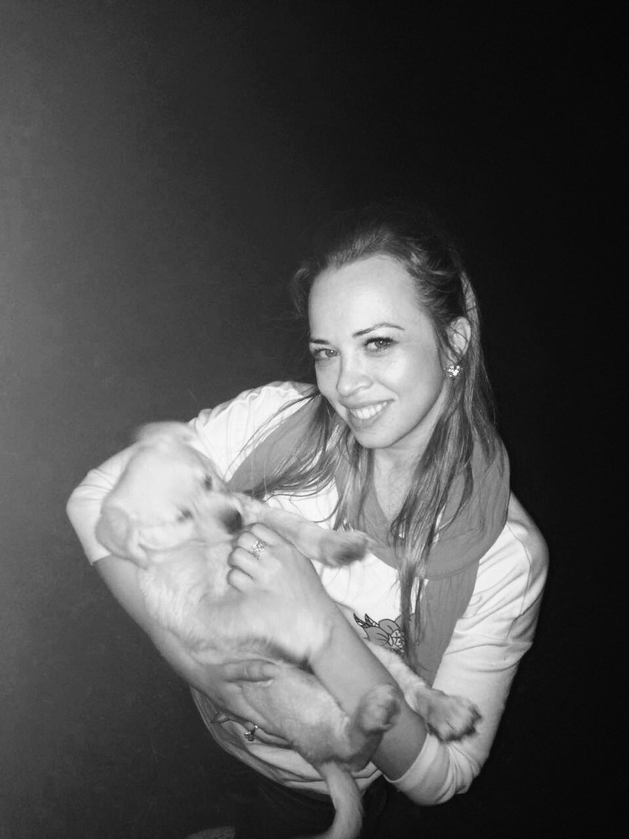 Щенок соседского лабрадора (помесь с двортерьером)