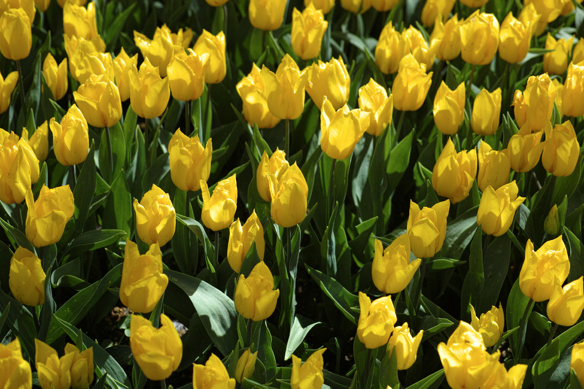 Designed by Freepik. Источник: www.freepik.com
