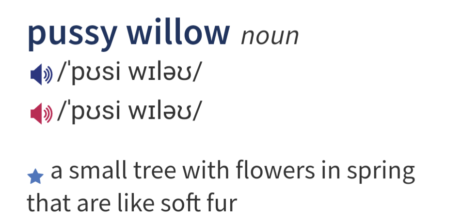 Фото из Oxford Online Dictionary 