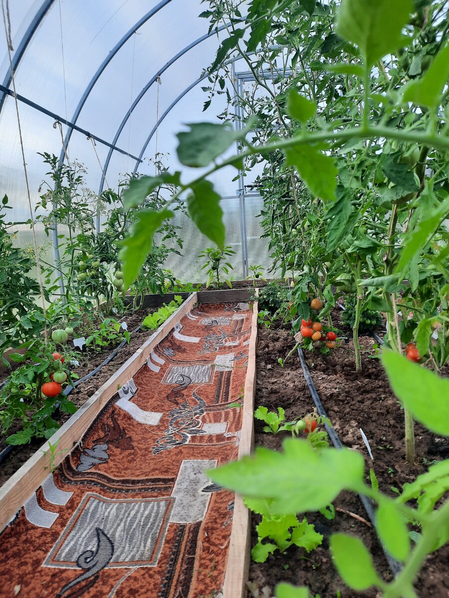 Личное фото автора