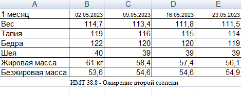 Мой вес и параметры тела на начало похудения