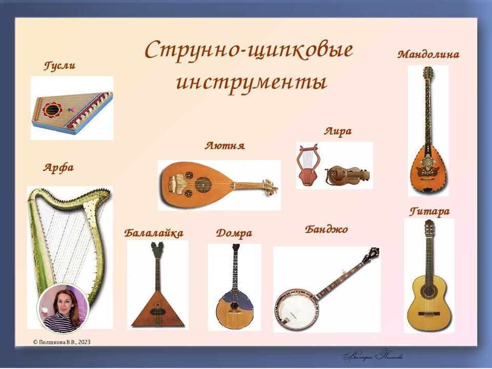 струнно-щипковые