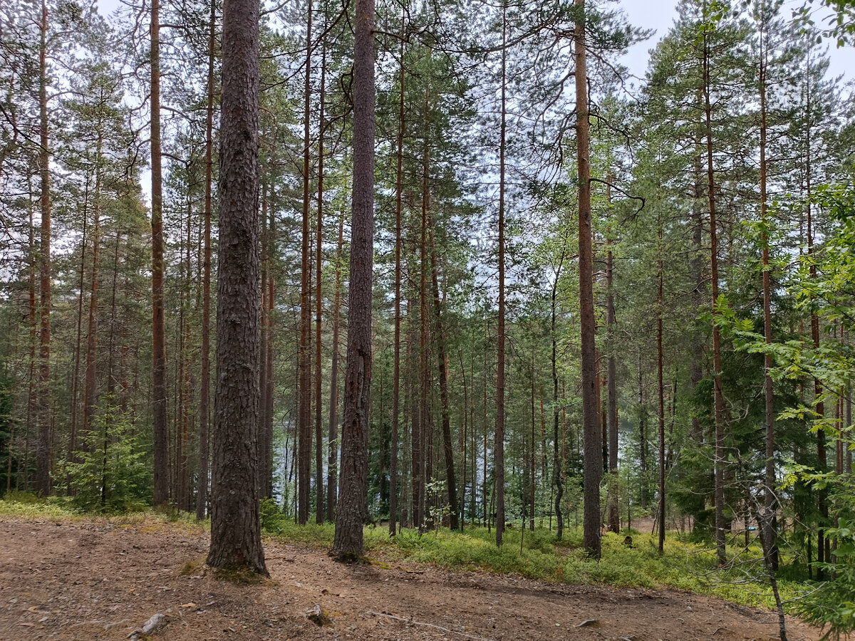 5 озер маршрут. Долина семи озер абхазия на карте. Васюткино озеро маршрут васютки. Озеро гийбашкель верхняя балкария. 5 озер маршрут.