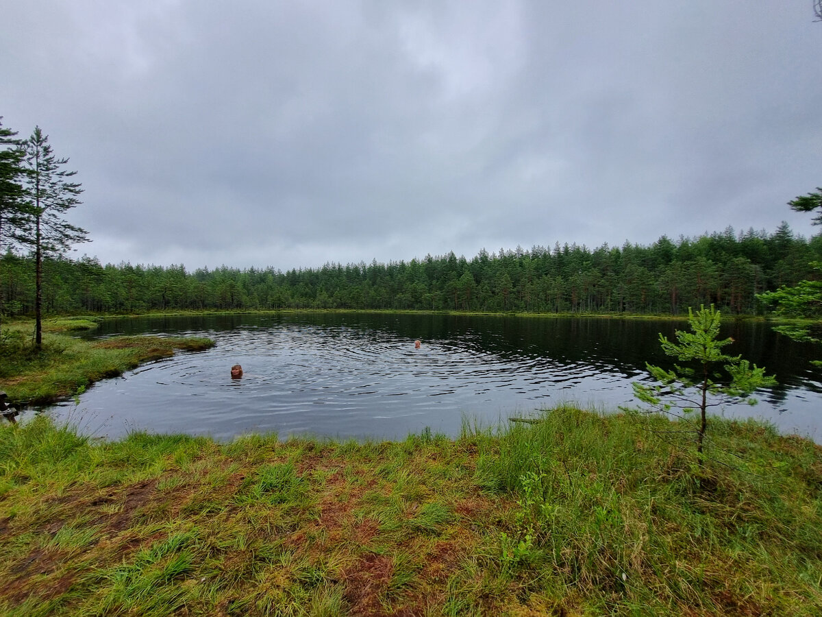 Голубое озеро домбай. Два озера. Озеро 2. Караваево озеро 2 план. 15 790 км² озеро.