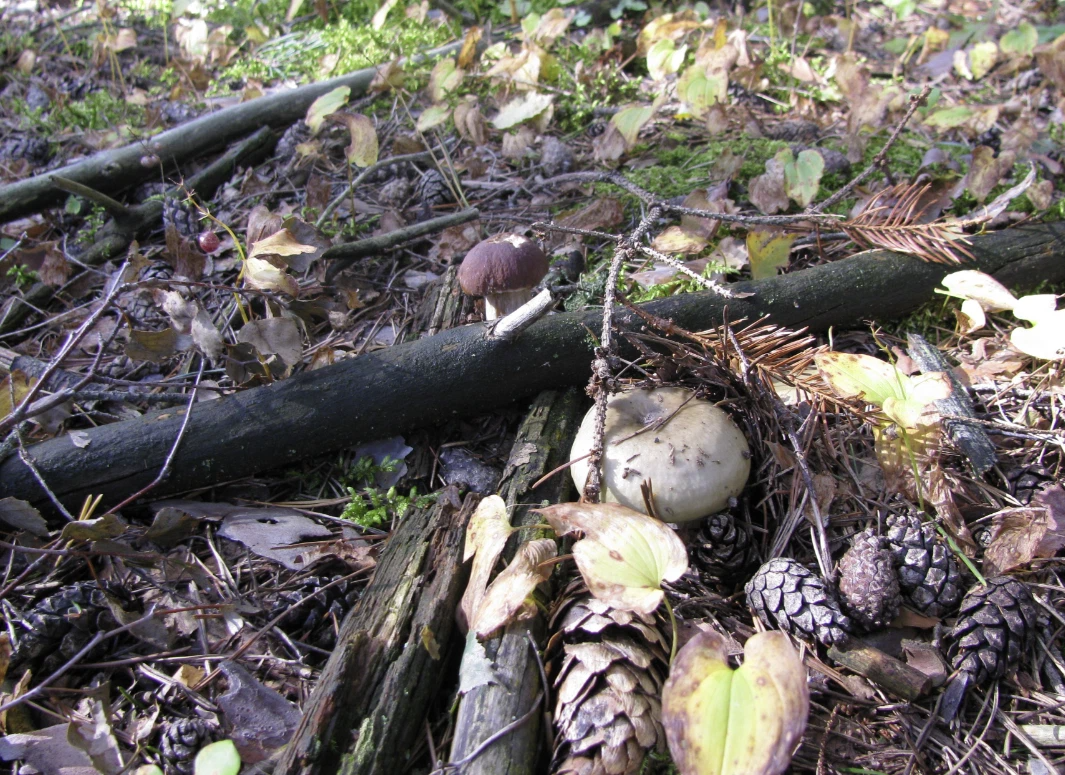 Фото Евгений Клишевич 