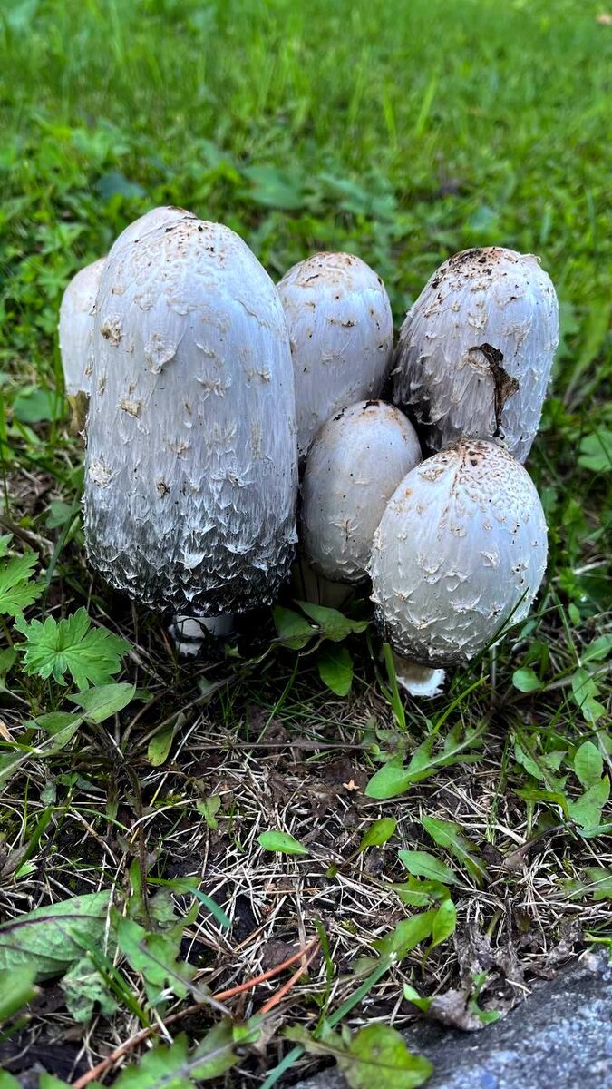 Фото для превью дочери