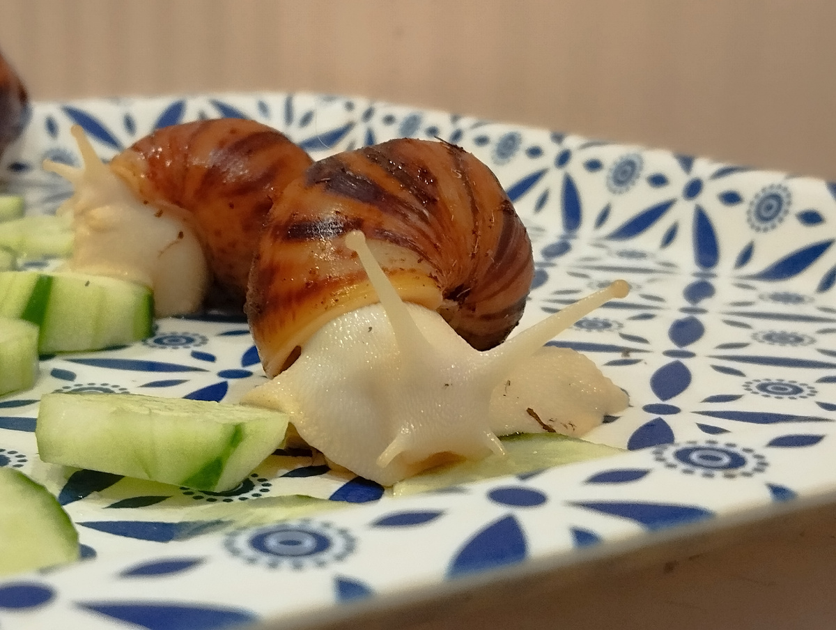 Мои улитки.