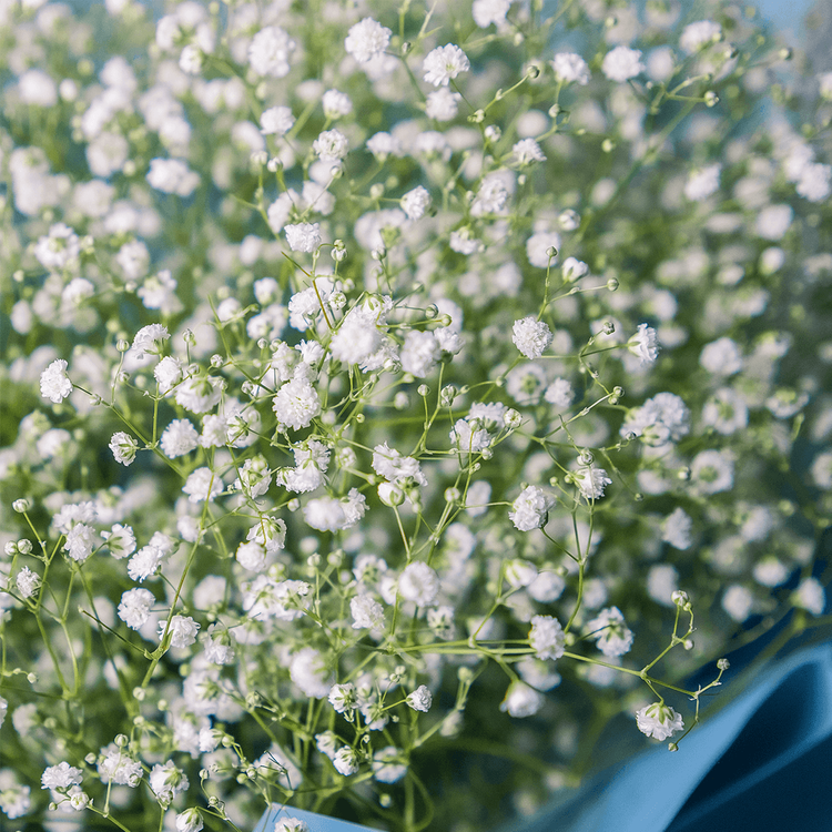 Фото: azalianow.ru