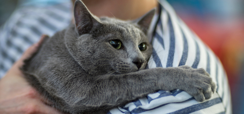 Когда сжимаются глазки от боли