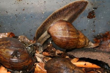 Фотография из открытого источника. Интернет.