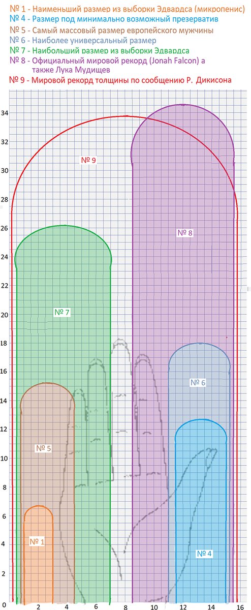 Какие бывают размеры членов у людей