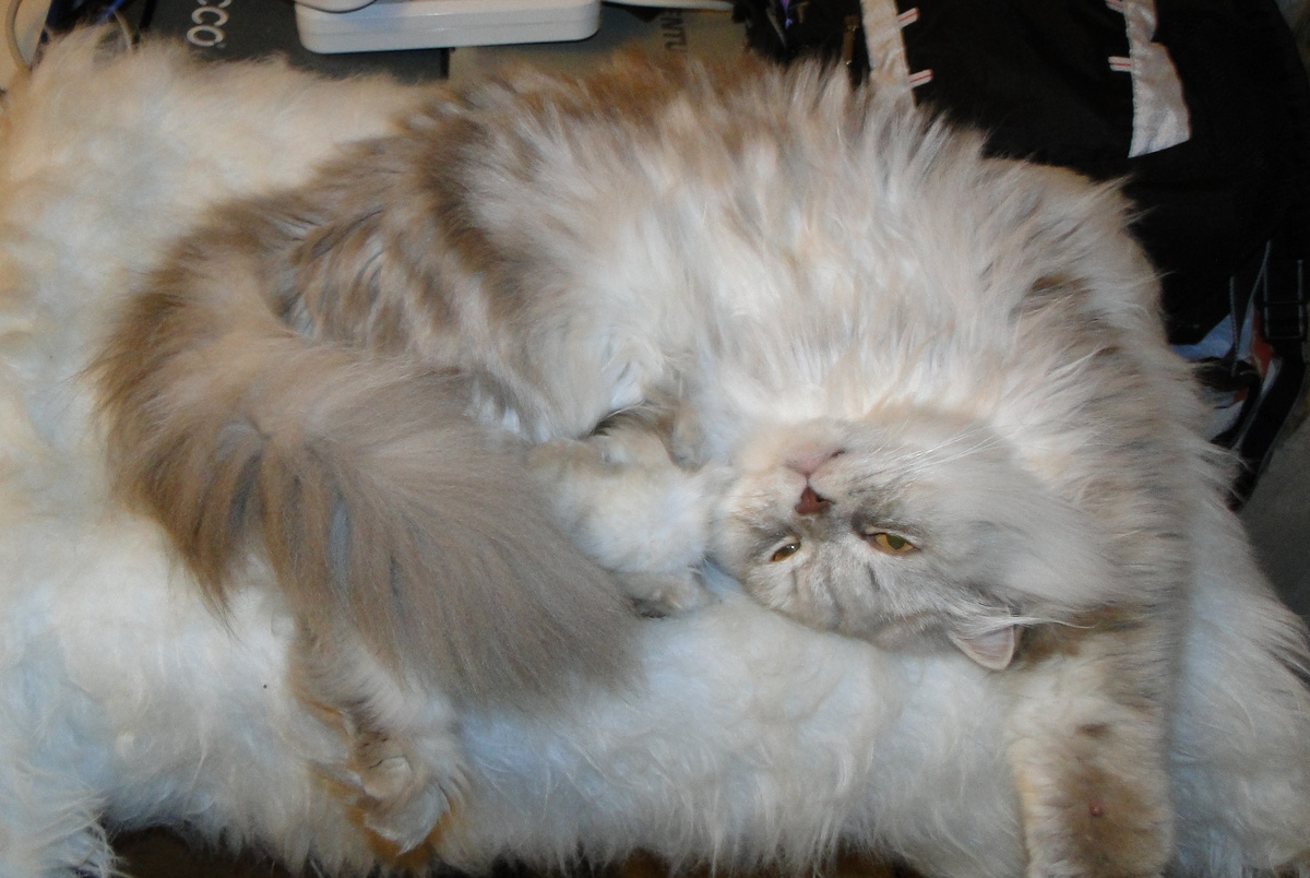 Фото из личного архива