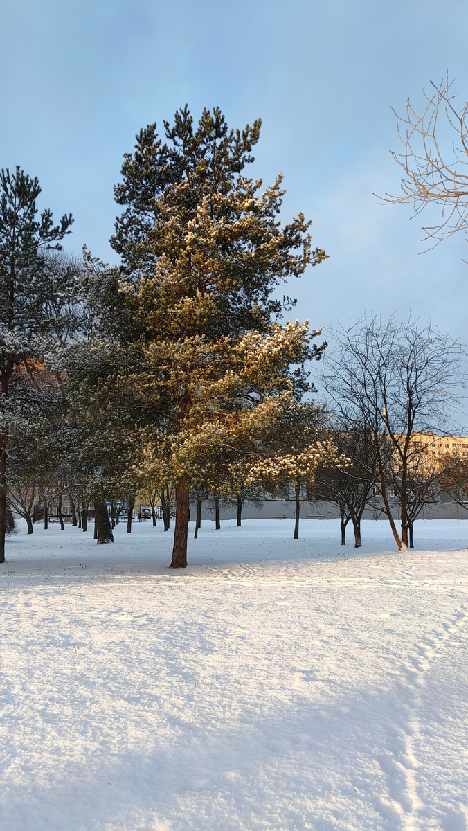 Фото автора 