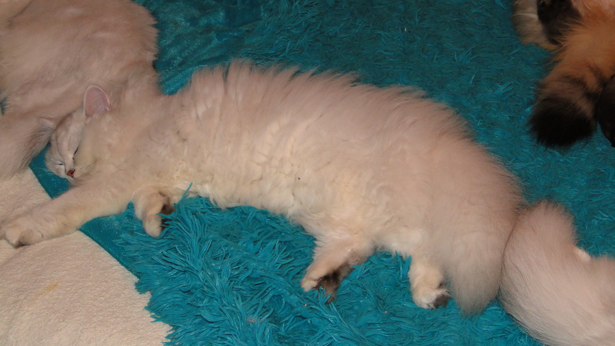 Фото из личного архива