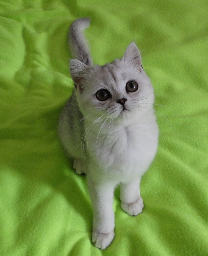 Фото из личного архива