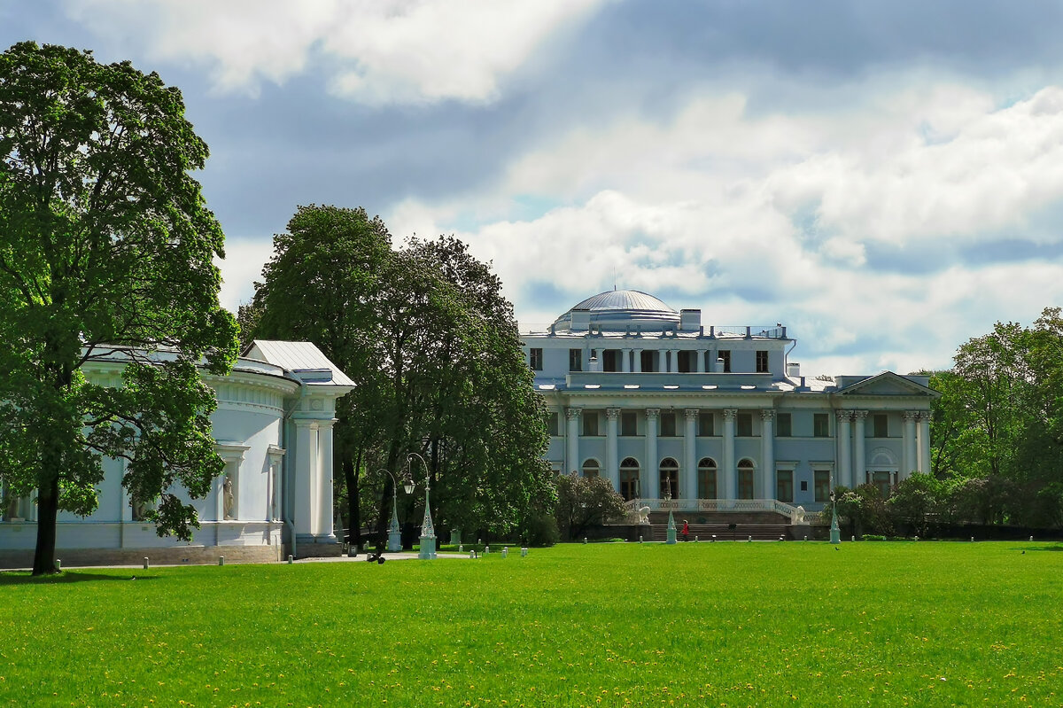 Масляный луг. Фото автора.