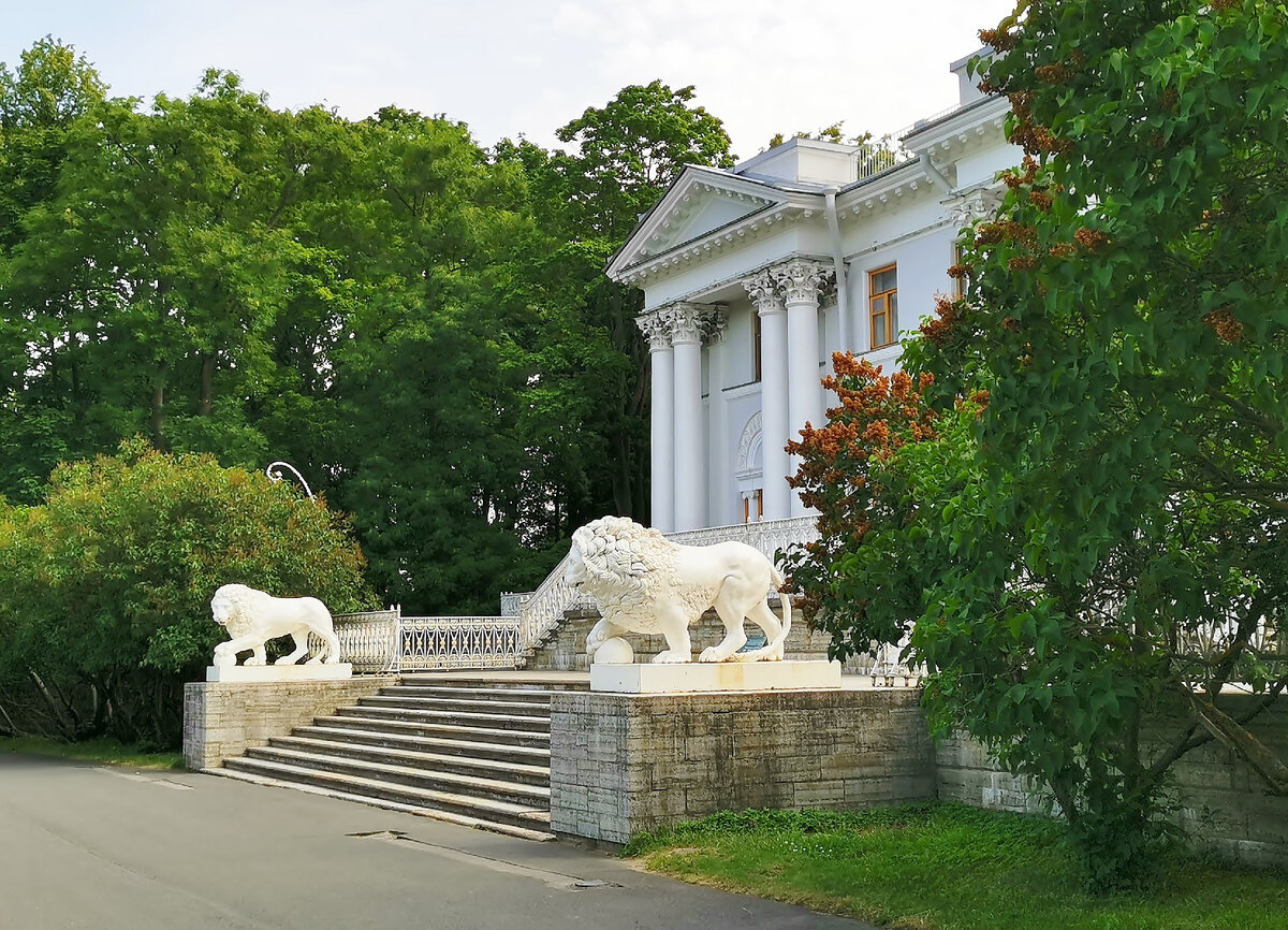 Львы Елагина дворца. Фото автора.