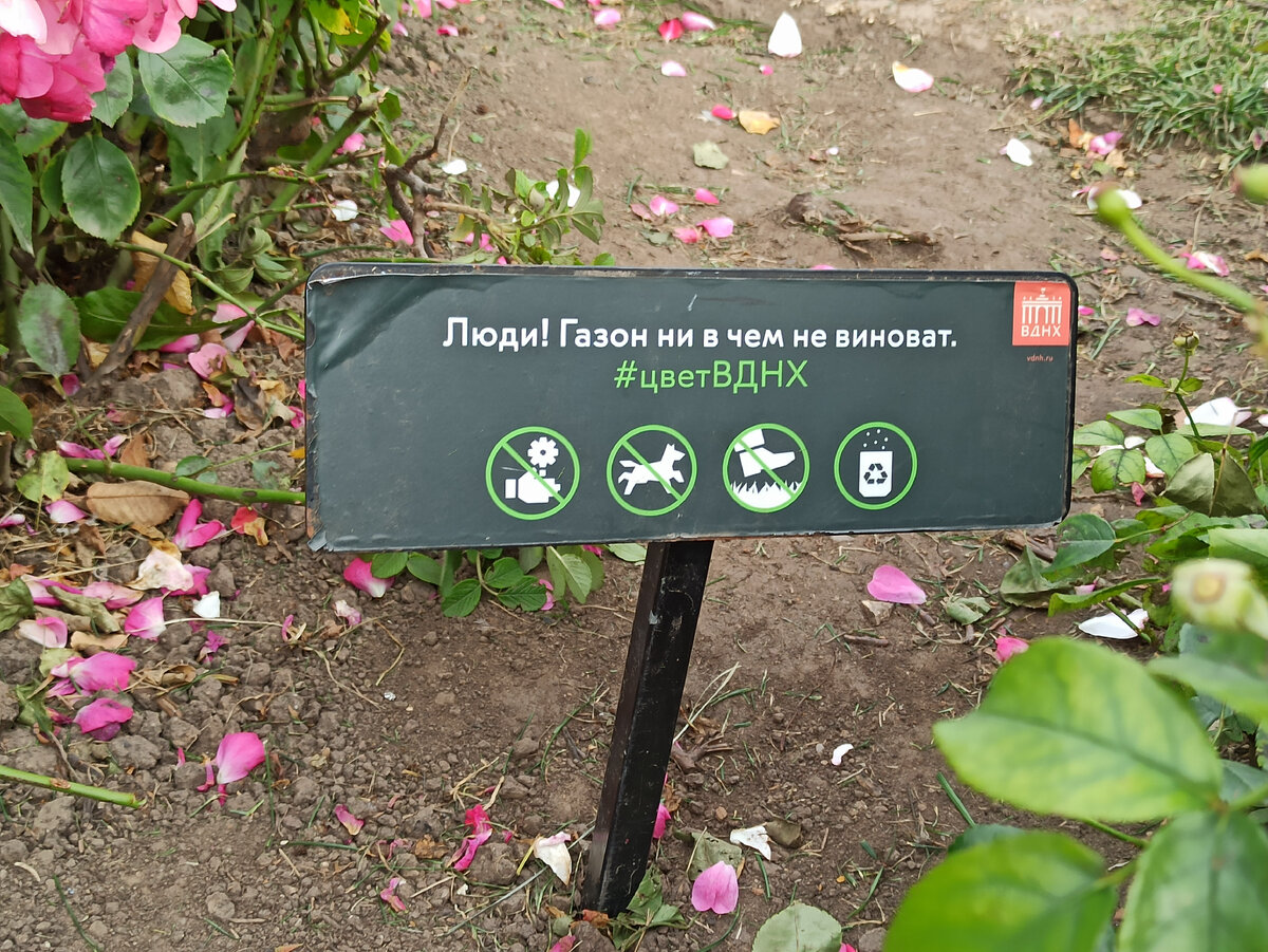 табличка, установленная на "народной тропе". Кажется она не помогает