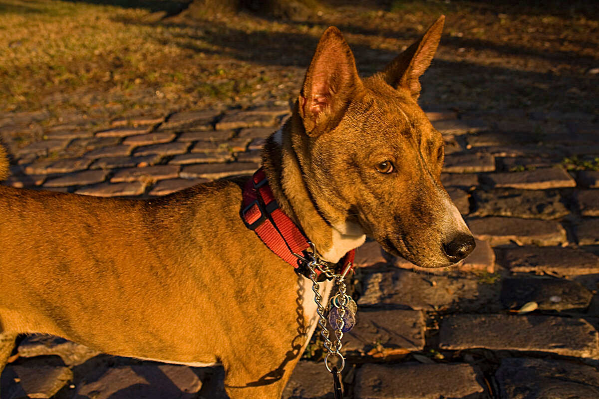 Derek Bridges, CC BY 2.0