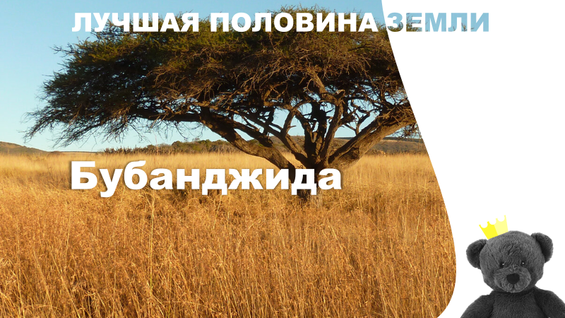 Национальный парк "Бубанджида" входит в систему особо охраняемых природных территорий Республики Камерун