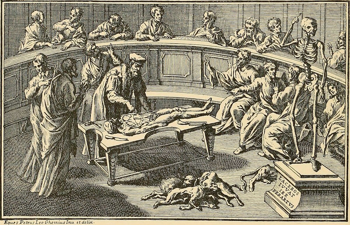 лат. prosector, от pro, и secare, сечь, рассекать. Трупорассекатель.