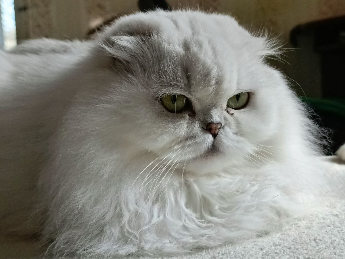 Фото из личного архива