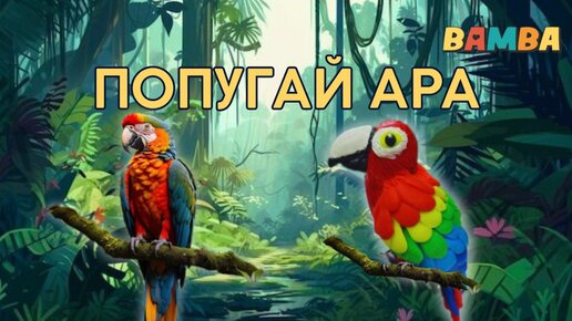 ✅️ КАК СЛЕПИТЬ ПОПУГАЯ АРУ ИЗ ПЛАСТИЛИНА.🦜 ЛЕПИМ ПОПУГАЯ АРУ И РАССКАЗЫВАЕМ ИНТЕРЕСНЫЕ ФАКТЫ О НЁМ. #bamba