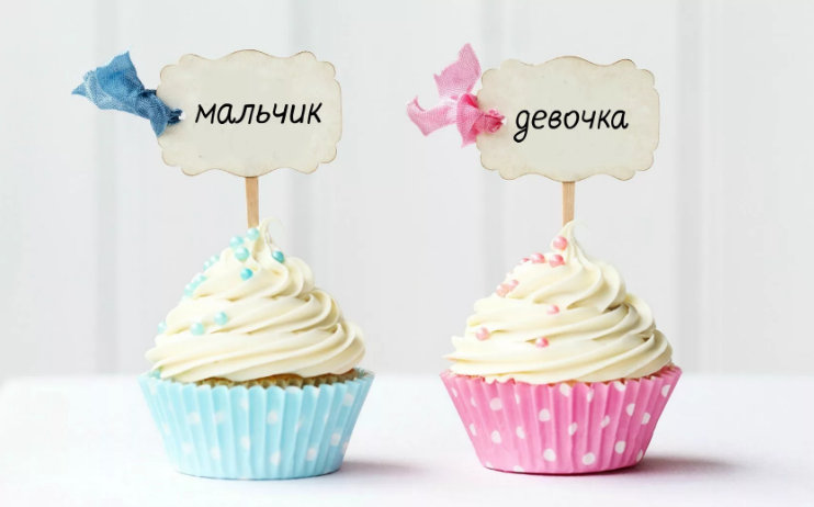 девочка или мальчик?