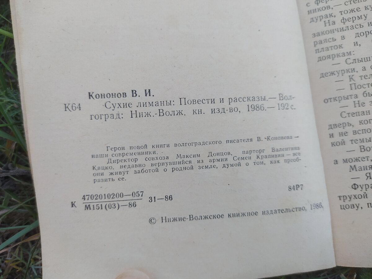 Пять прочитанных книг вдали от суеты | Записки витающей в облаках | Дзен