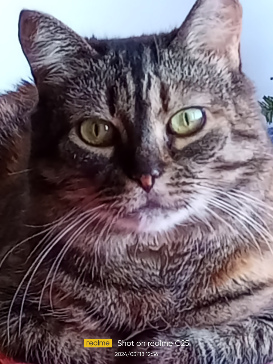 Это та самая моя Совесть.