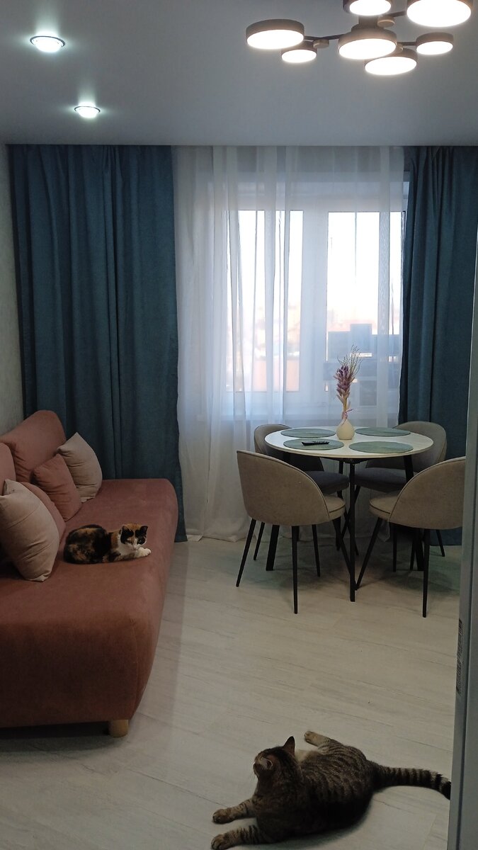 Теперь все спят и валяются, где хотят. Ночью ко мне вообще никто не приходит, им и без меня прекрасно.