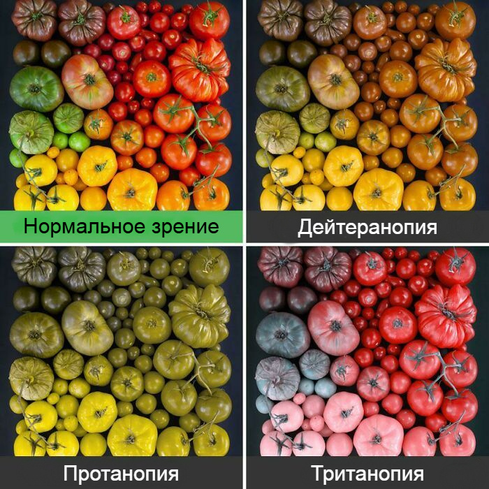 Основные виды нарушения цветового восприятия