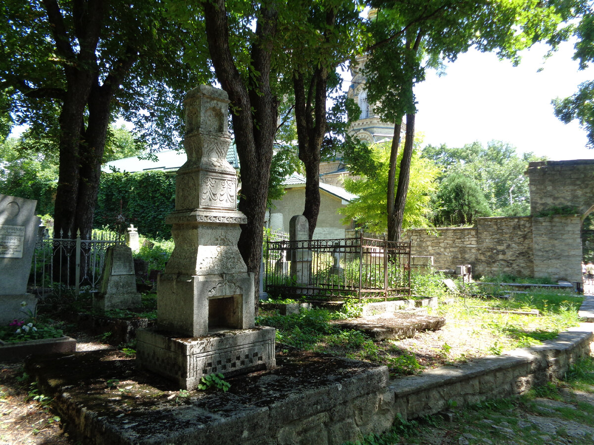 Некропль Фото сделано дочерью Софией 2023 г