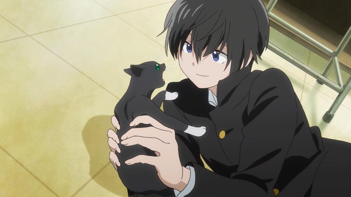 Ловец кисок