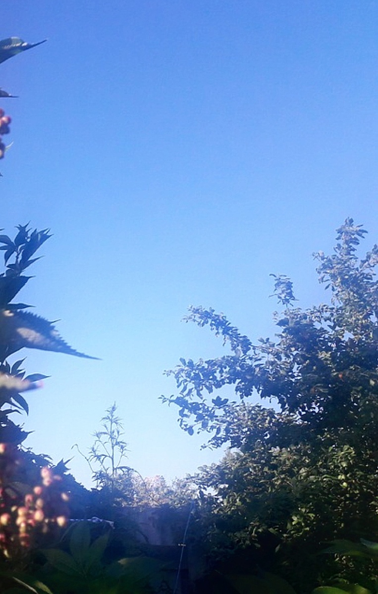 Авторская фоторабота: "Фиолетовое небо"