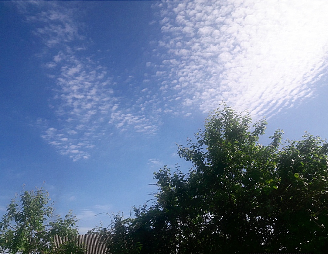 Авторская фоторабота: "Фиолетит"