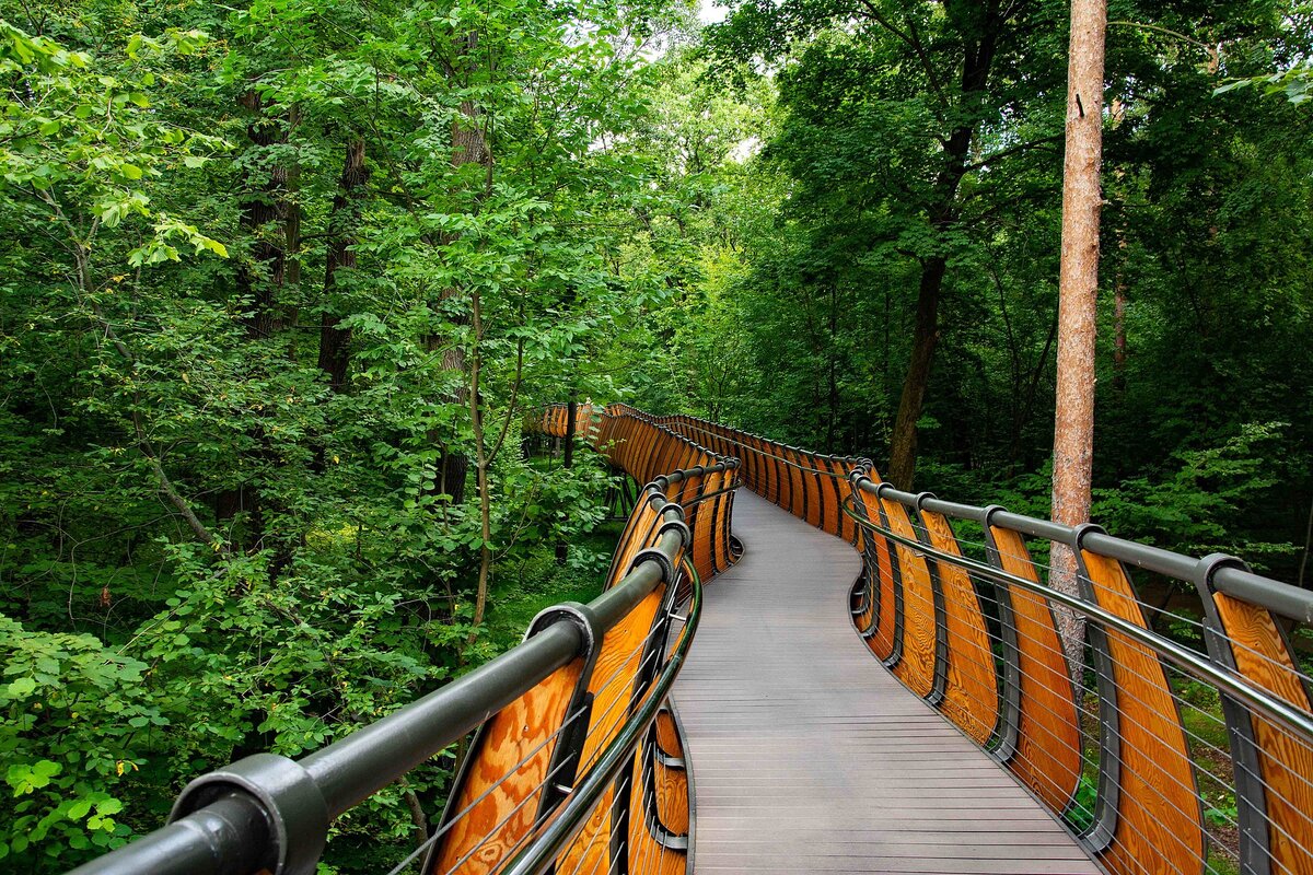 Источник: wikipedia.org Автор: Muscovite20 CC BY-SA 4.0