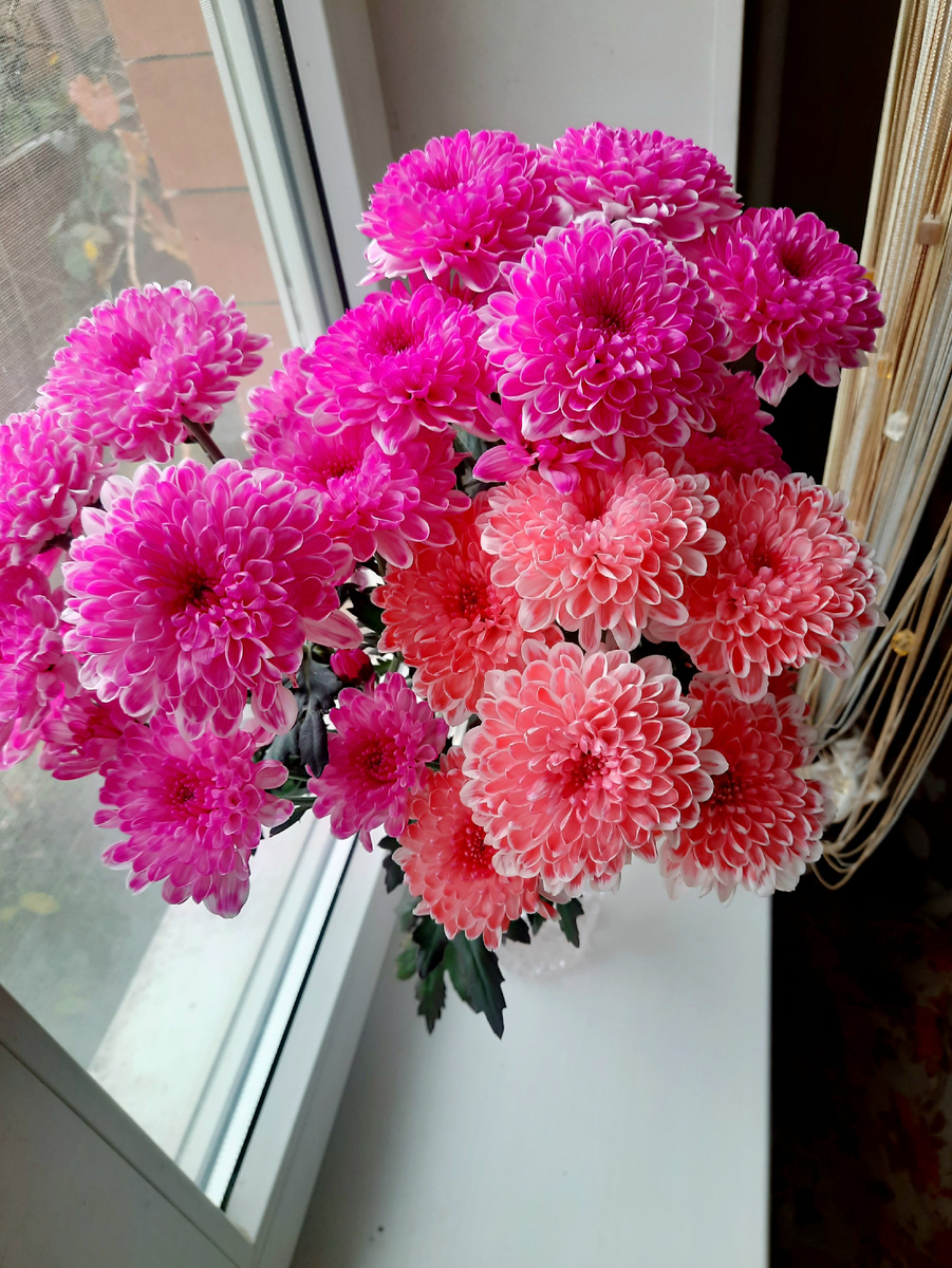 из личных архивов