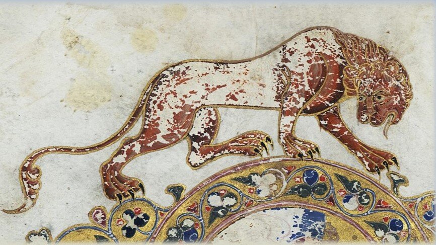 фото из открытых источников