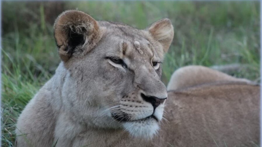 фото из открытых источников