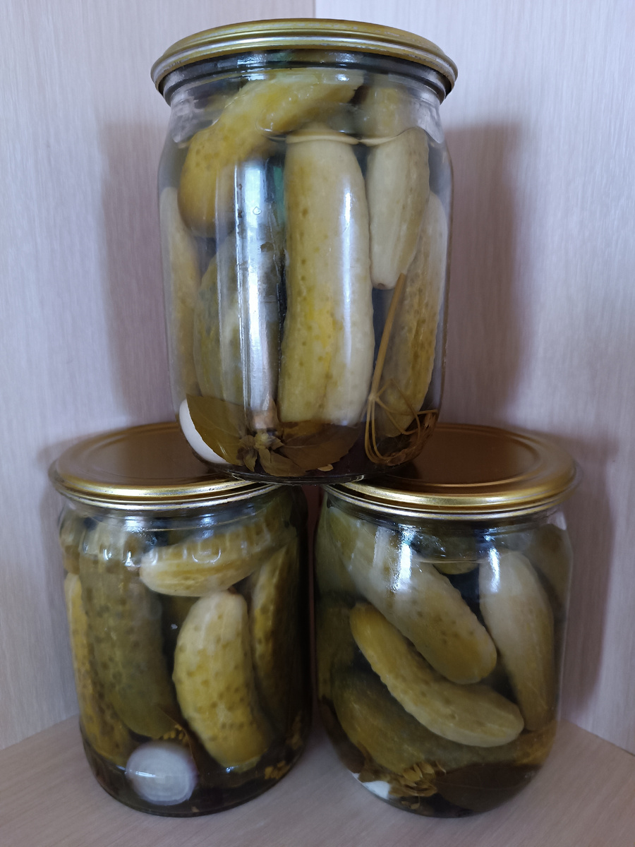 Консервация 2024 года 😊