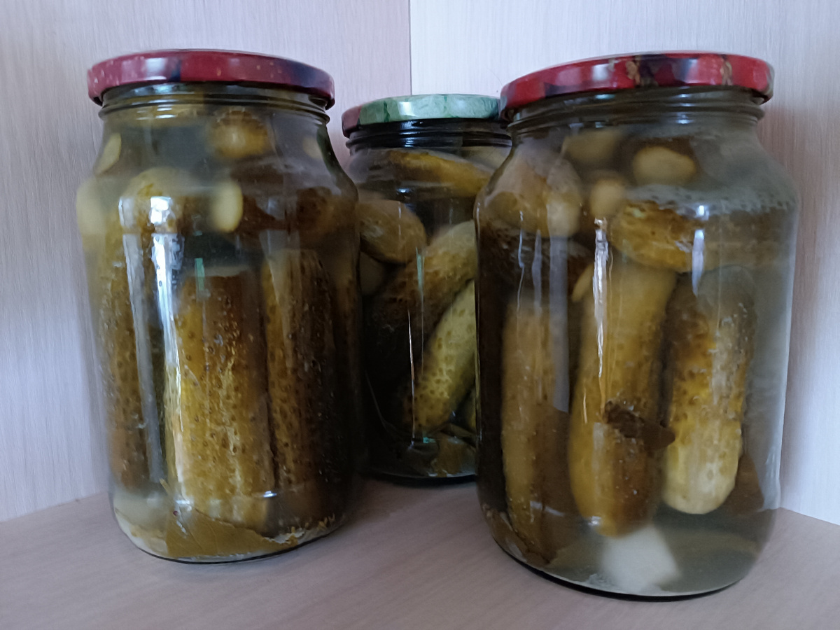 Насолила этим летом 😊